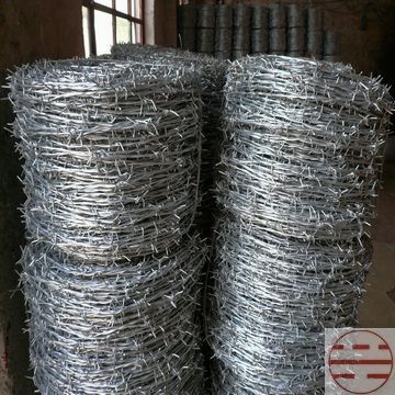 【厂家直销 普通刺绳 镀锌刺绳 双股刺绳 不锈钢刺绳 欢迎惠顾】价格,厂家,图片,金属丝绳制品,广州市华港网络科技-